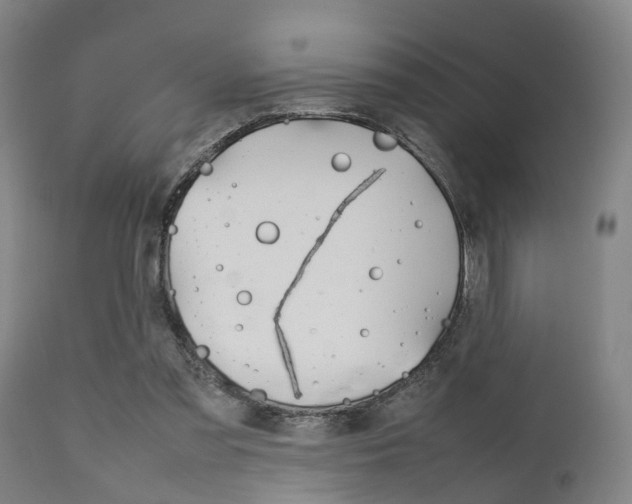 X0000111900301200907271017