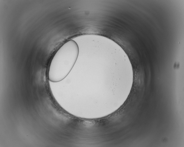 X0000111900302200907271017