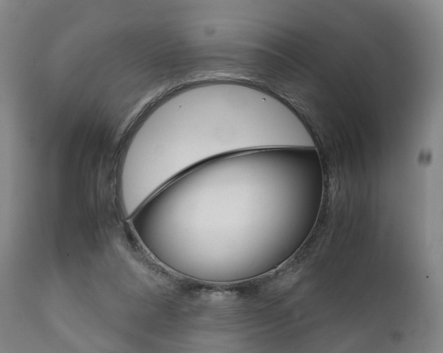 X0000111900304200907271017