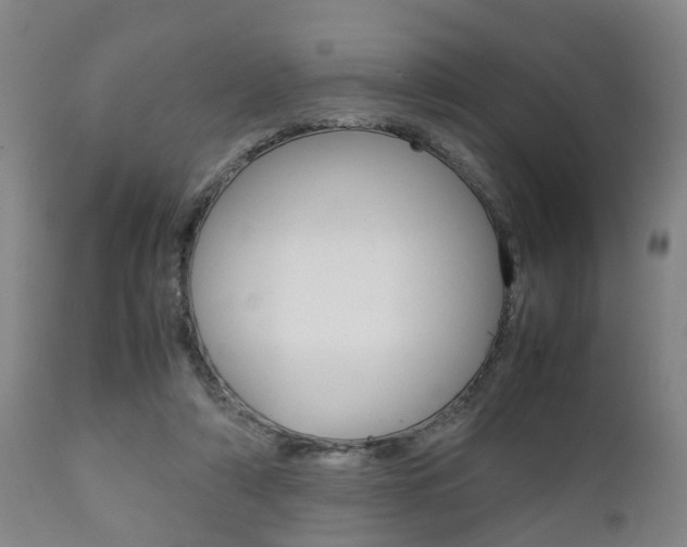 X0000111900306200907271017