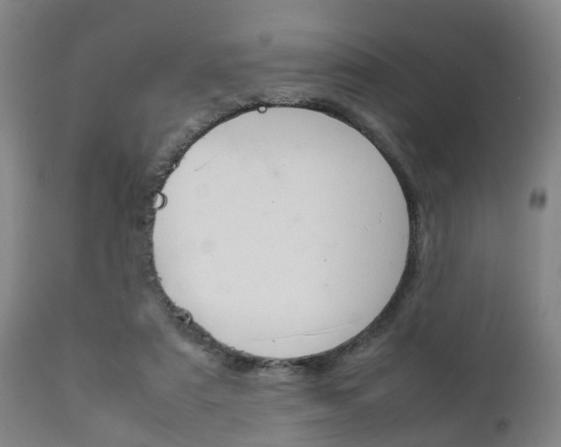 X0000111900307200907271017