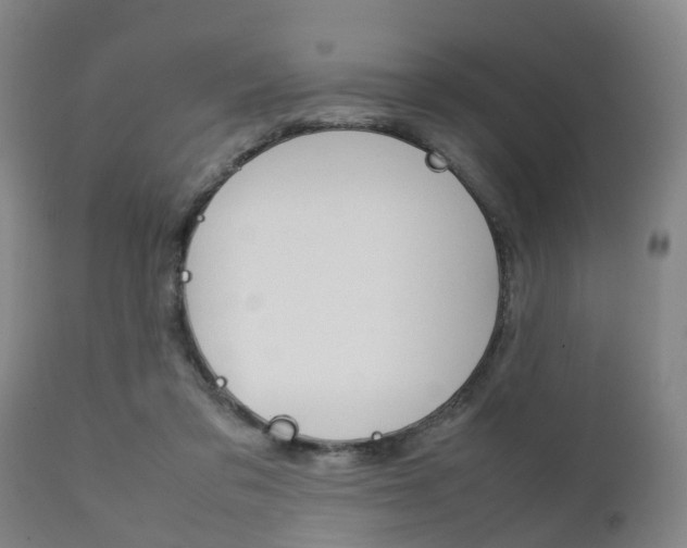 X0000111900309200907271017