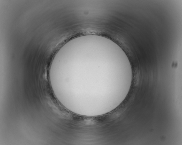 X0000111900310200907271017