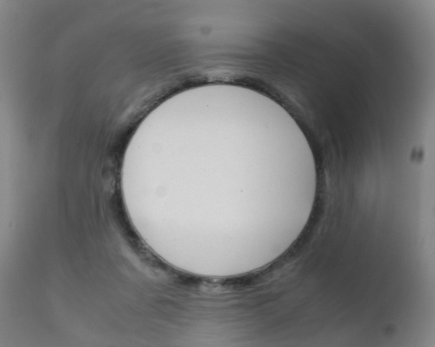 X0000111900311200907271017