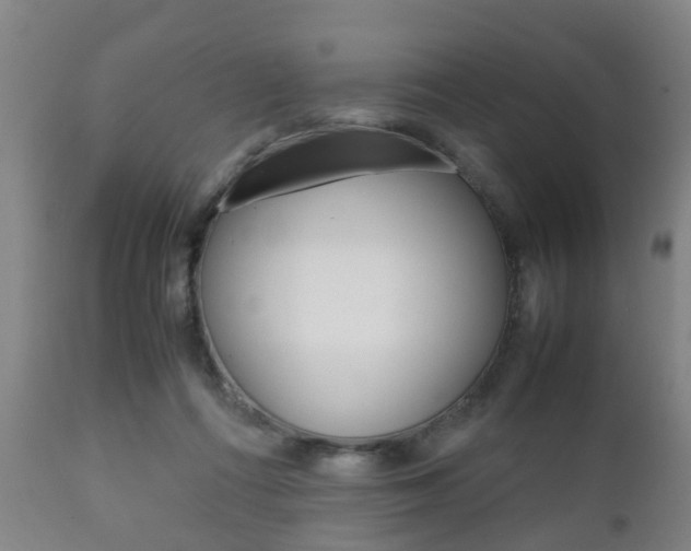 X0000111900312200907271017