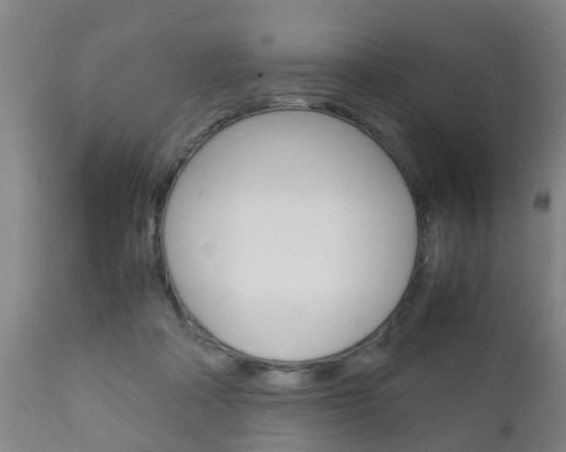X0000111900314200907271017
