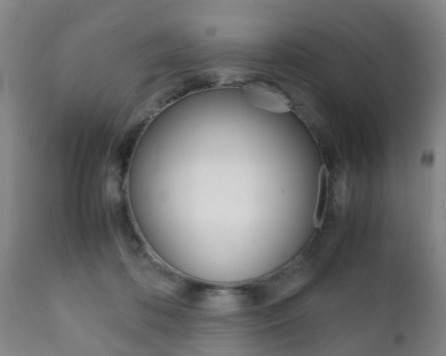 X0000111900316200907271017