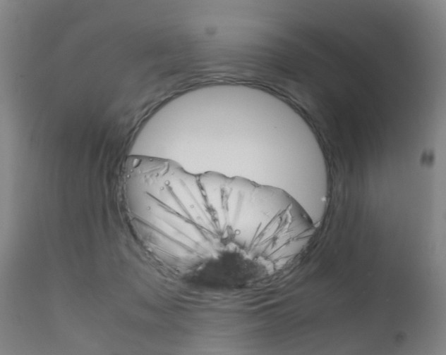 X0000111900317200907271017