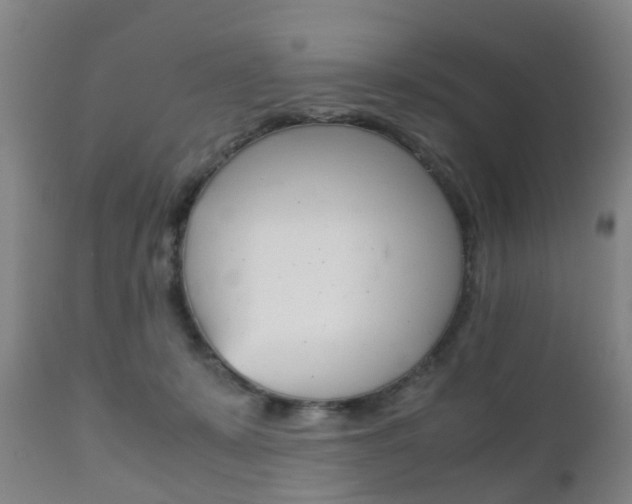 X0000111900319200907271017