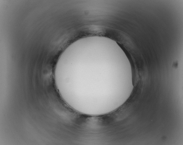 X0000111900320200907271017