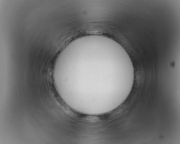 X0000111900322200907271016