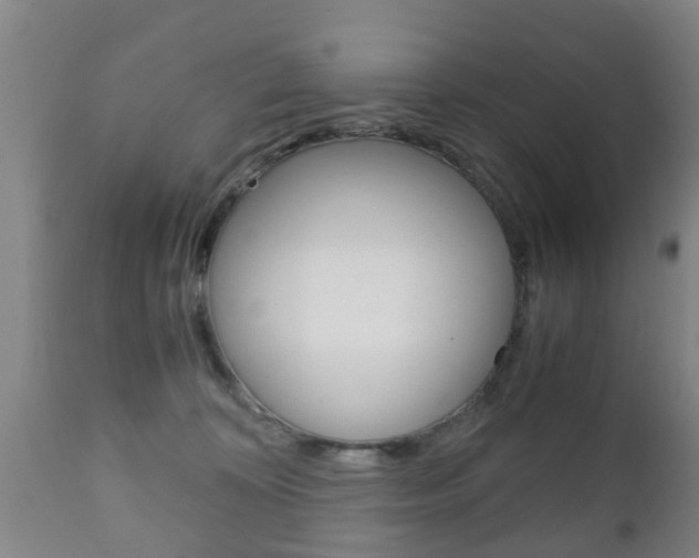 X0000111900324200907271016