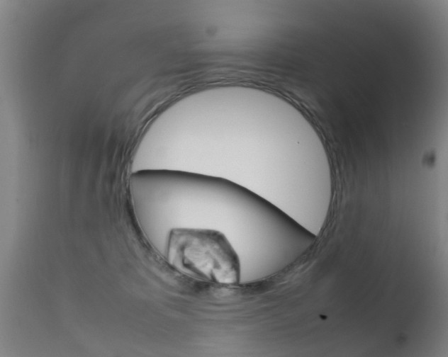 X0000111900325200907271016