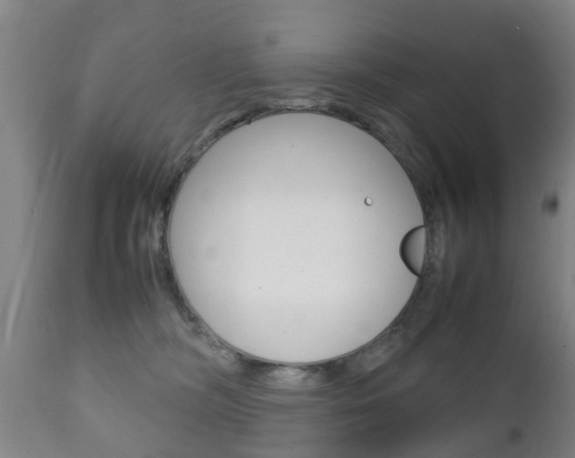 X0000111900326200907271016
