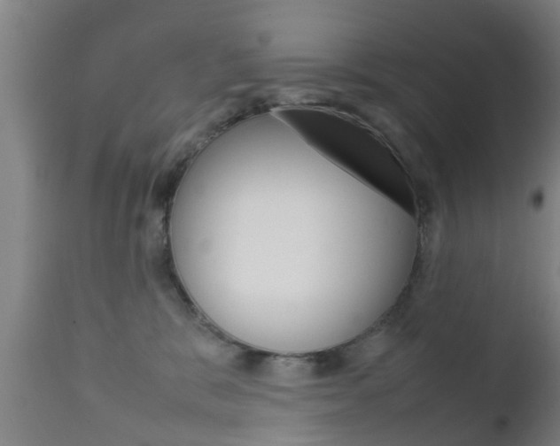 X0000111900327200907271016