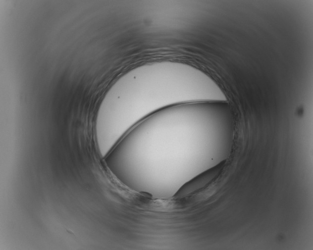 X0000111900328200907271016