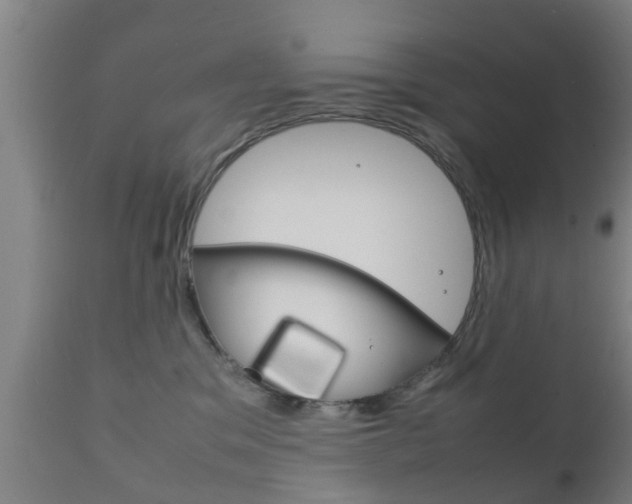 X0000111900329200907271016