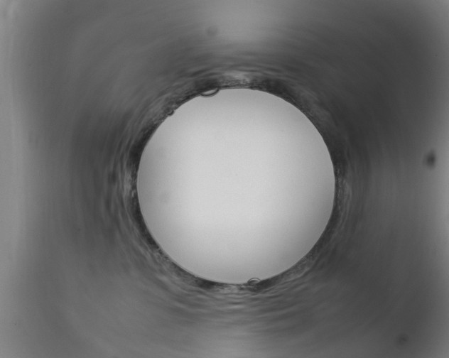 X0000111900331200907271016