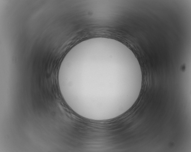 X0000111900332200907271016