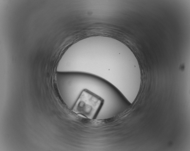 X0000111900333200907271016
