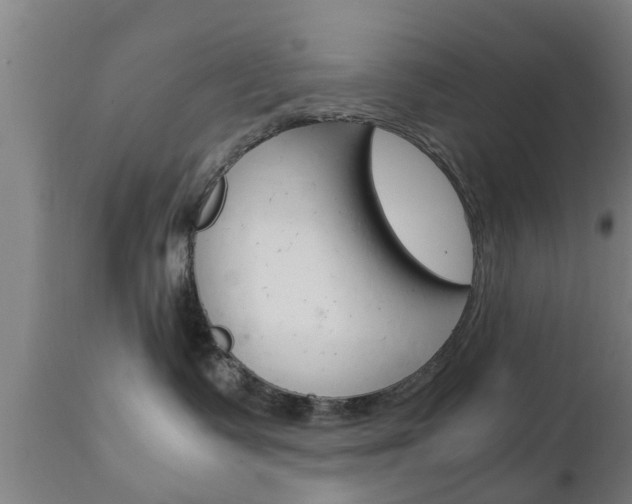 X0000111900335200907271016