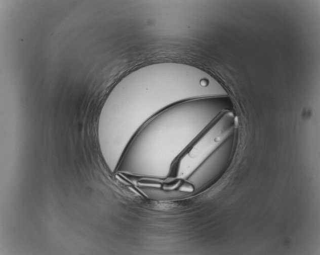 X0000111900336200907271016