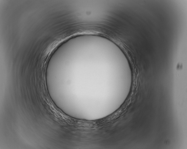 X0000111900337200907271015