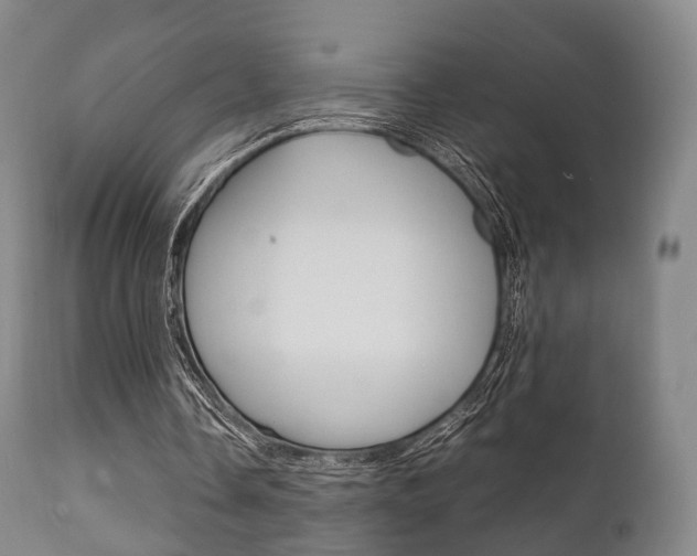 X0000111900338200907271015