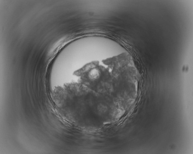 X0000111900339200907271015