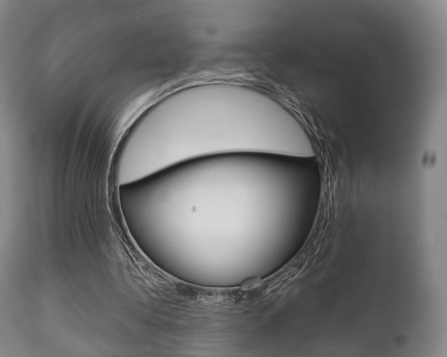 X0000111900340200907271015