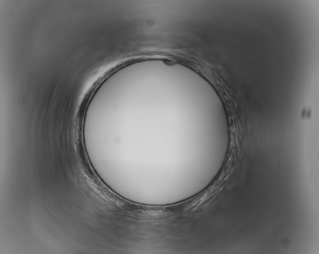 X0000111900342200907271016