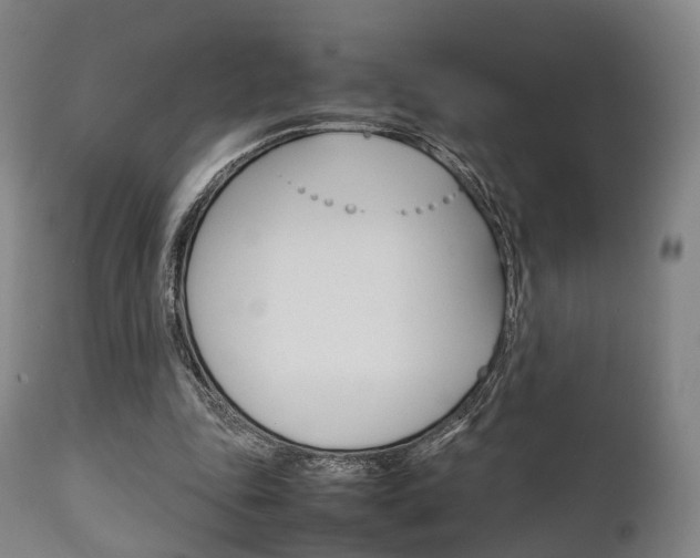 X0000111900343200907271016