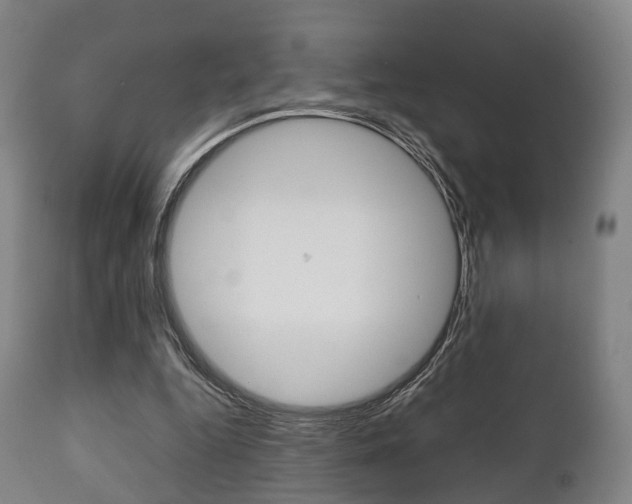 X0000111900344200907271016