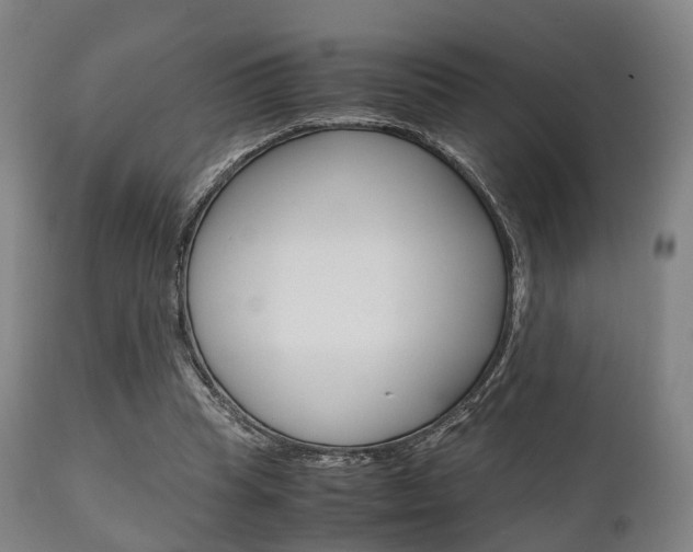 X0000111900345200907271016