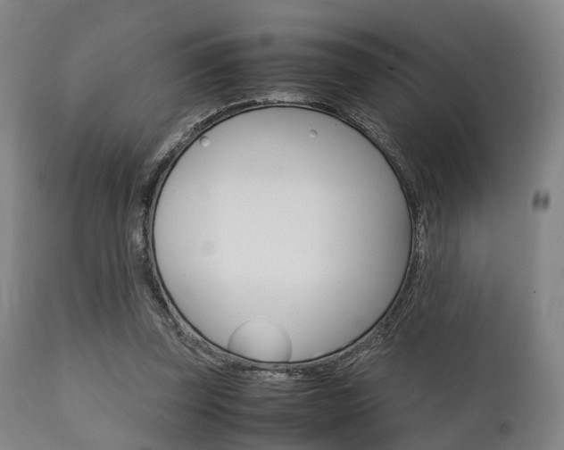 X0000111900347200907271016