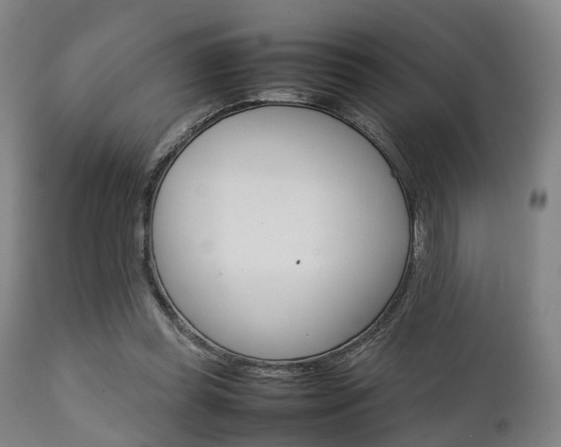 X0000111900349200907271016