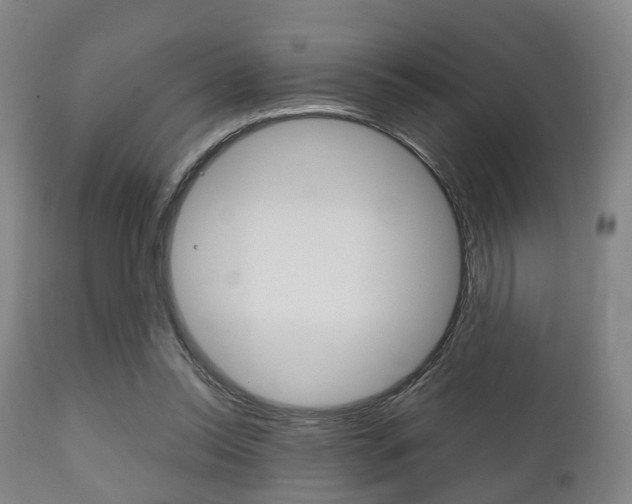 X0000111900350200907271016