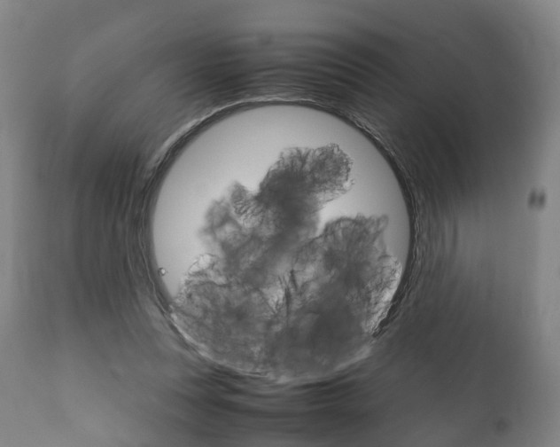 X0000111900351200907271016