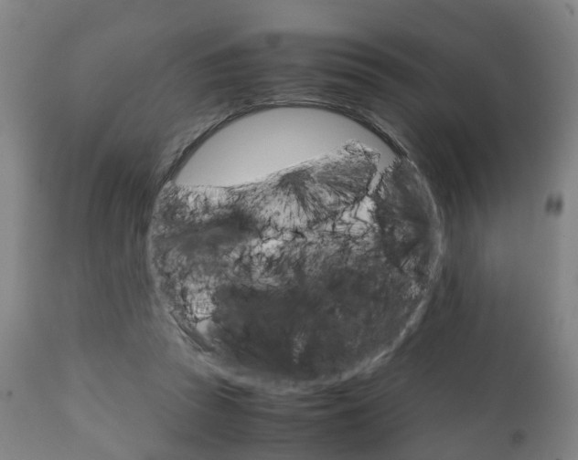 X0000111900353200907271016