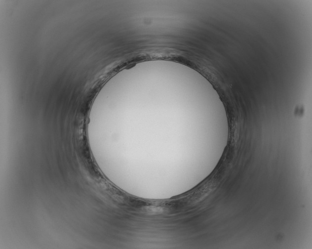 X0000111900356200907271016
