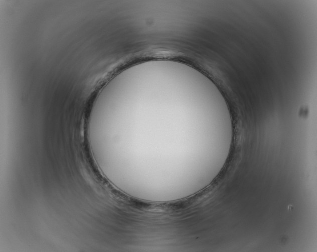 X0000111900358200907271016