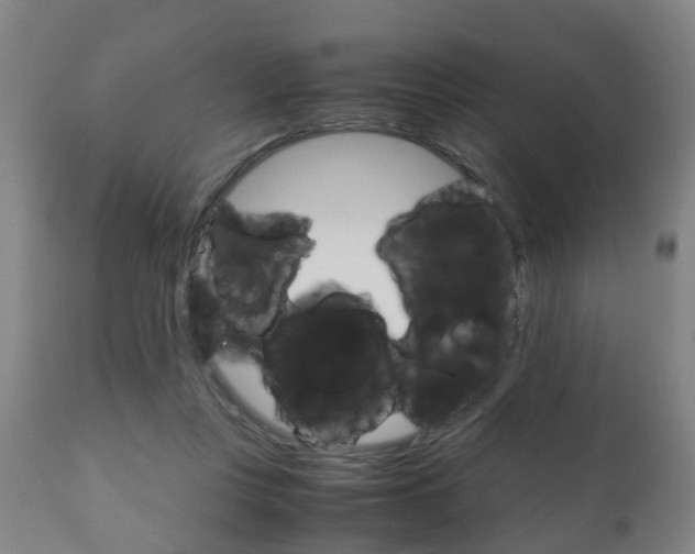 X0000111900359200907271016