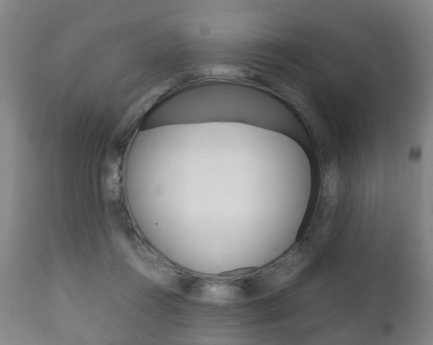 X0000111900360200907271016