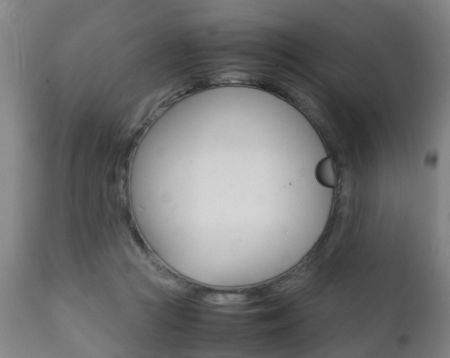 X0000111900361200907271016