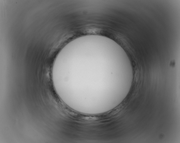 X0000111900363200907271016