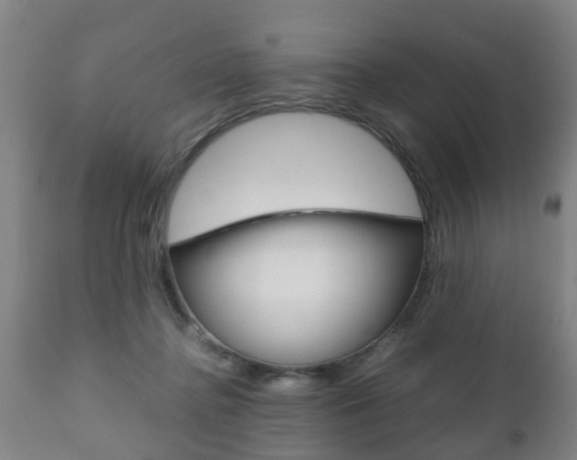 X0000111900364200907271016
