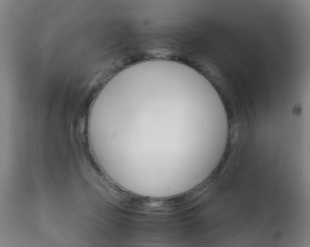 X0000111900365200907271016