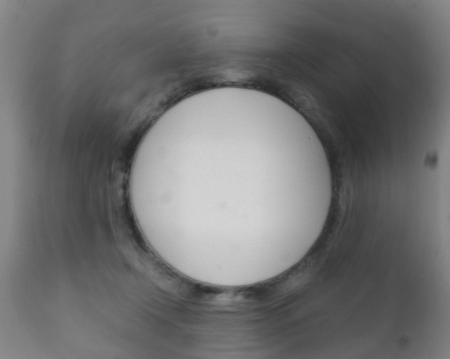 X0000111900366200907271016