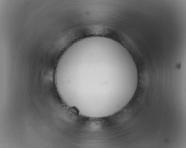 X0000111900368200907271016