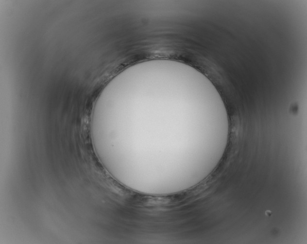 X0000111900369200907271016